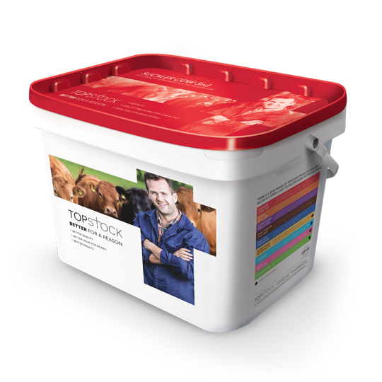 TOPSTOCK Product